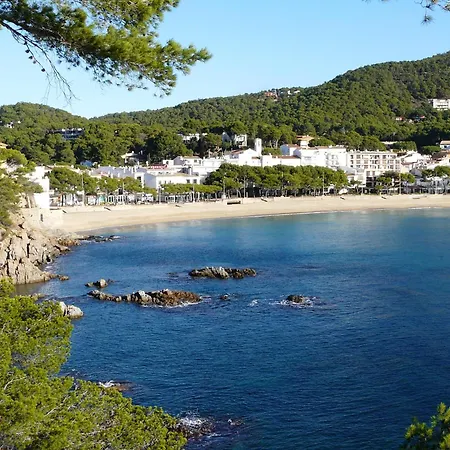 Homer 2 Nyaraló